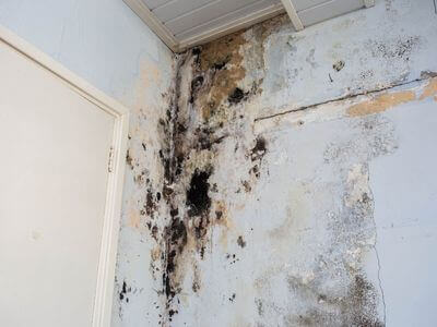 About Elite Water Damage Restoration - water damage restoration experts in Vance, AL